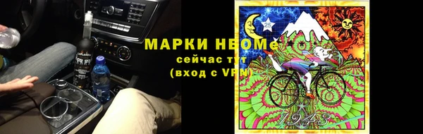 индика Лабытнанги
