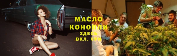 индика Лабытнанги