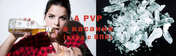 индика Лабытнанги