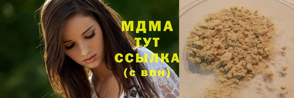 индика Лабытнанги