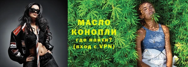 молекула духа Краснослободск