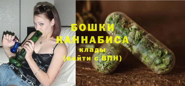 спайс Ладушкин