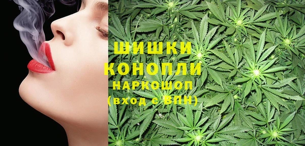 индика Лабытнанги