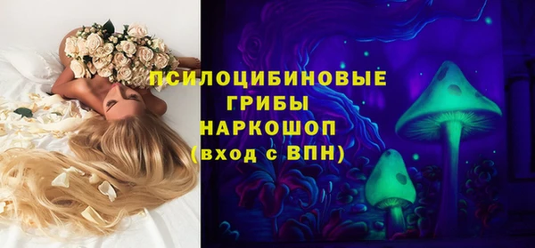 спайс Ладушкин